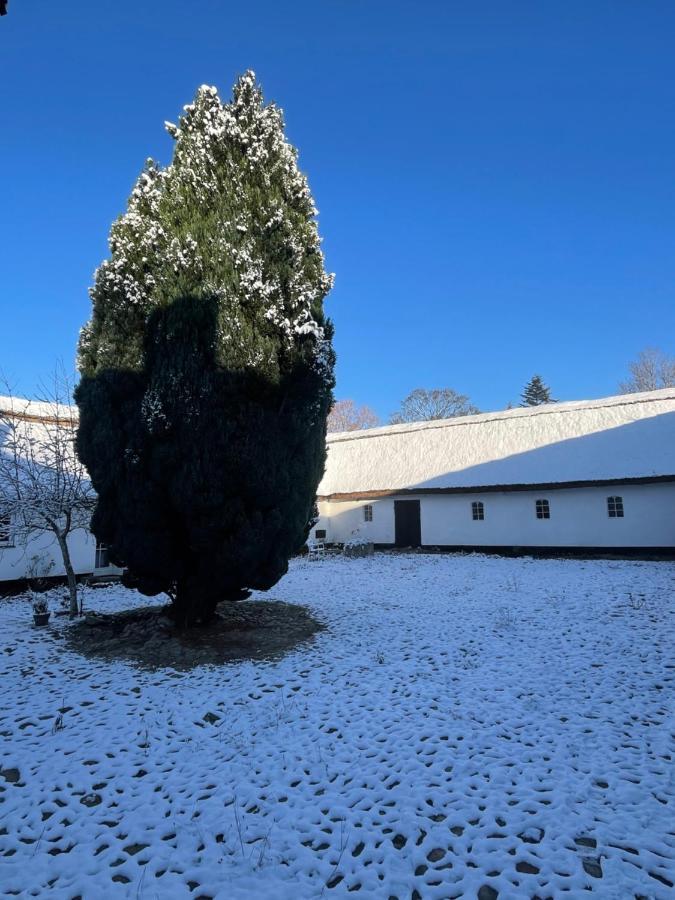 Apple Cottage Vejby エクステリア 写真