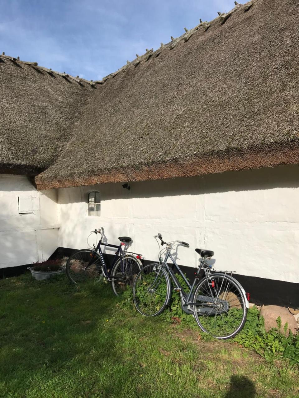 Apple Cottage Vejby エクステリア 写真